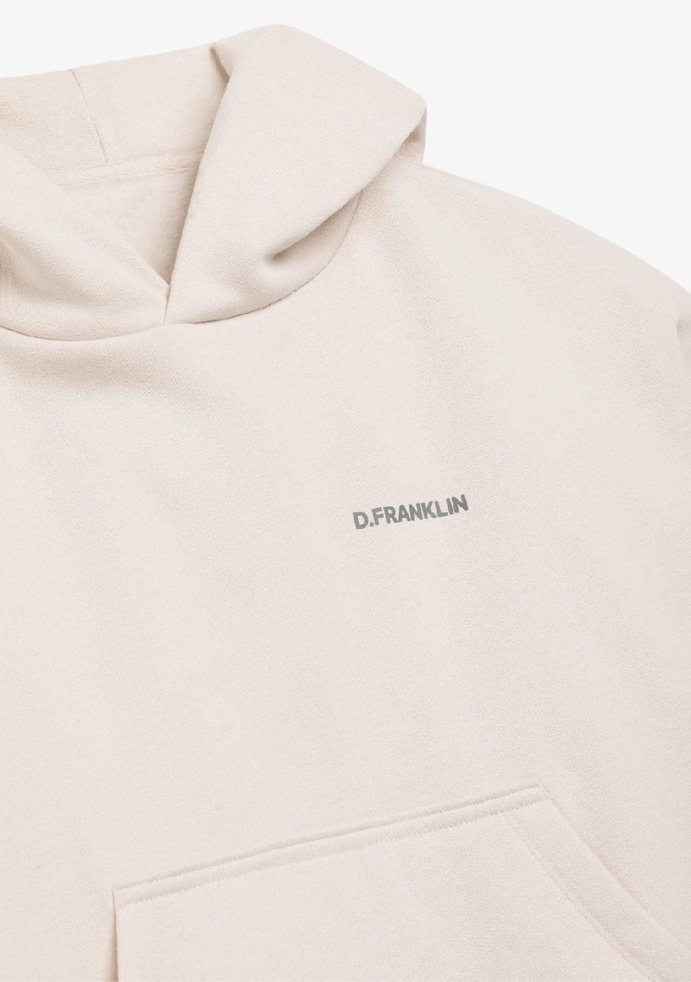 D.franklin Worldwide Crop Hoodie Ice Grey Solo queda un día