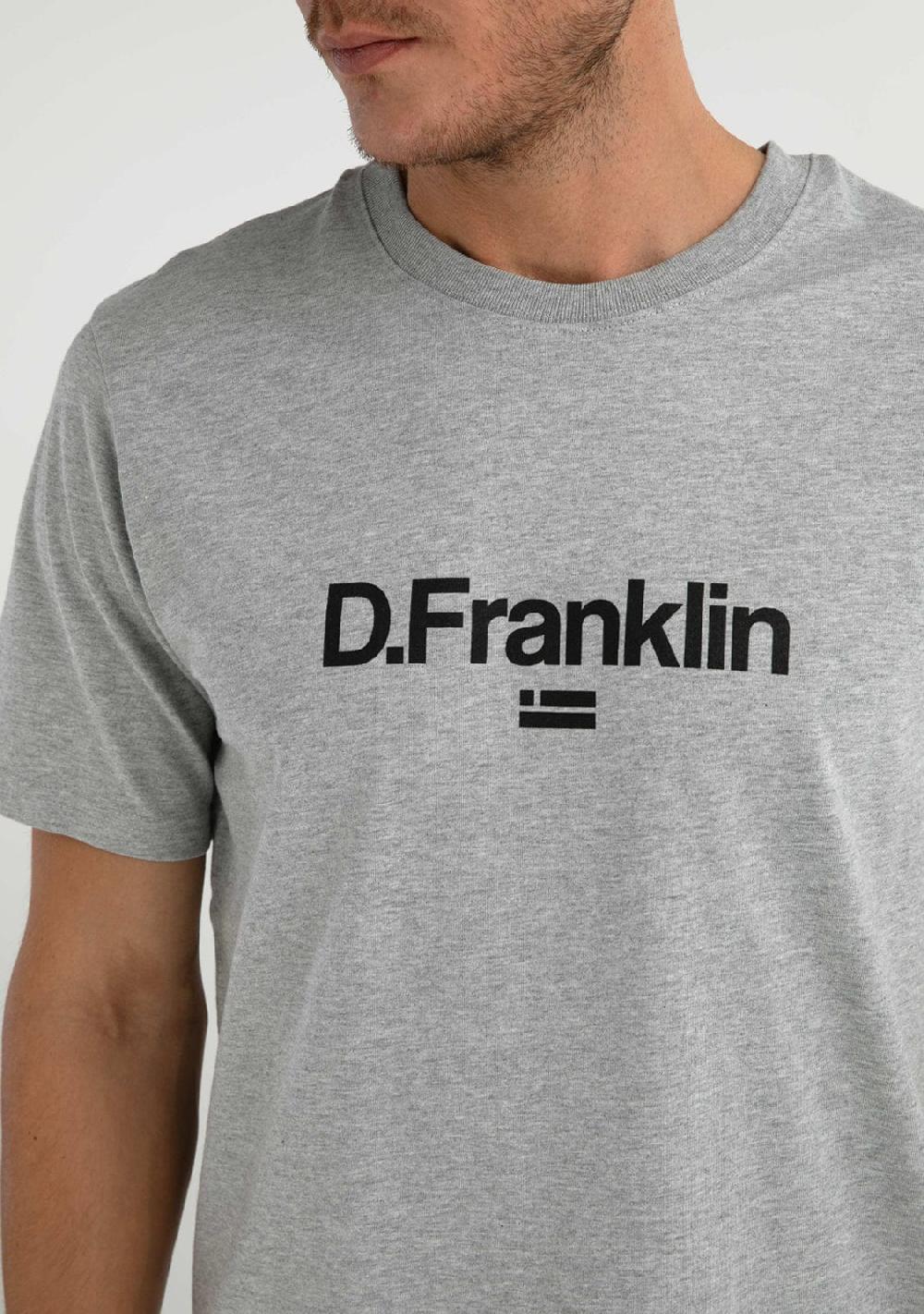 D.franklin Logo Flag T-Shirt Grey / Black Liquidación