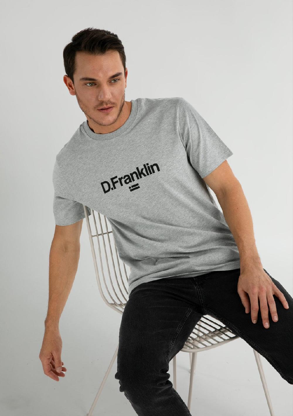 D.franklin Logo Flag T-Shirt Grey / Black Liquidación