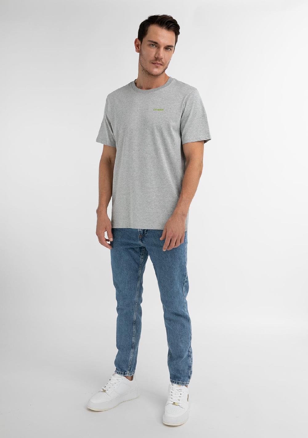 D.franklin Basic Logo T-Shirt Grey / Green Envío internacional gratuito