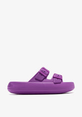 D.franklin Bloomer Bio Purple