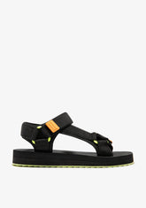 D.franklin Forest Neo Black / Orange