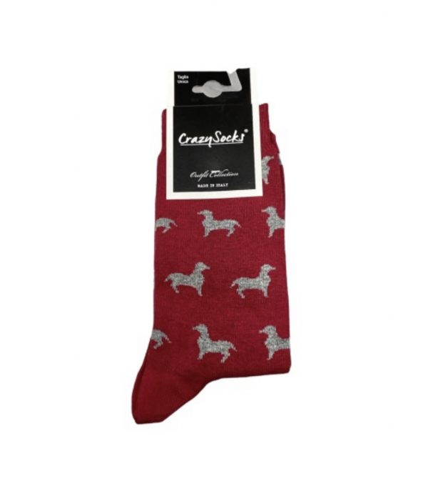El caballo Calcetines perros
