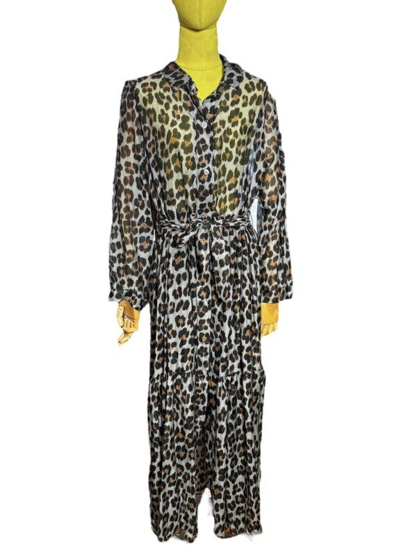 El caballo Vestido de leopardo Oferta especial