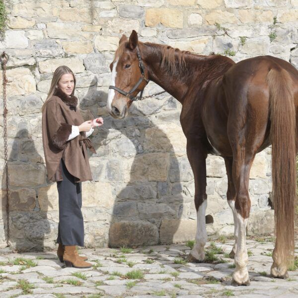 El caballo Capa Pilar Promoción por tiempo limitado