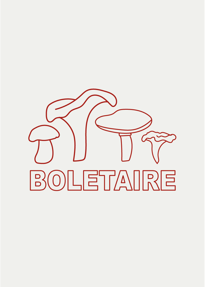 Iaios Boletaire Liquidación