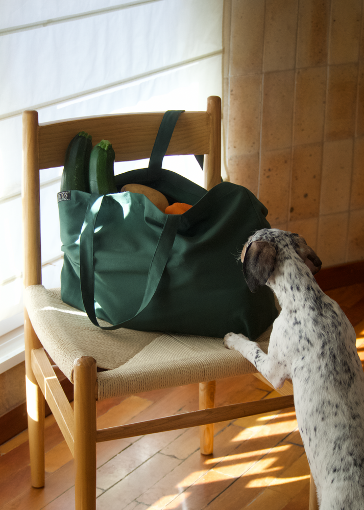 Iaios Bolsa