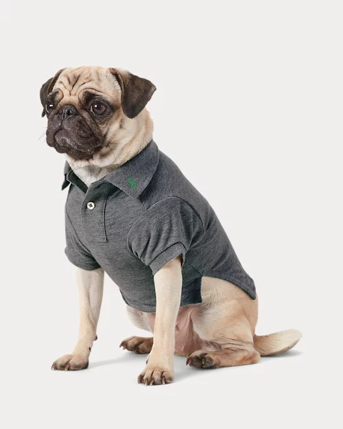 lauren ralph lauren Polo para perro de piqué de algodón | Ralph Lauren® ES