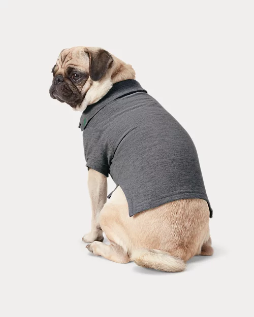 lauren ralph lauren Polo para perro de piqué de algodón | Ralph Lauren® ES Precios de Black Friday
