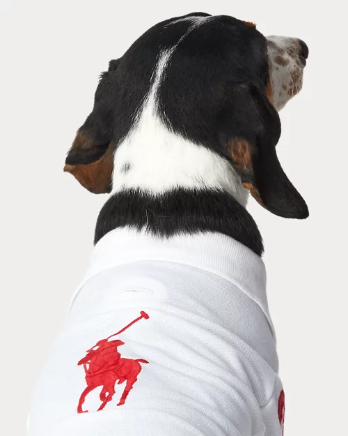 lauren ralph lauren Polo de piqué de algodón para perros | Ralph Lauren® ES Libre de impuestos