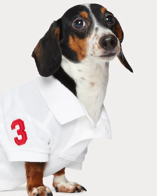 lauren ralph lauren Polo de piqué de algodón para perros | Ralph Lauren® ES Libre de impuestos