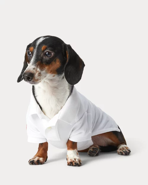 lauren ralph lauren Polo de piqué de algodón para perros | Ralph Lauren® ES Libre de impuestos