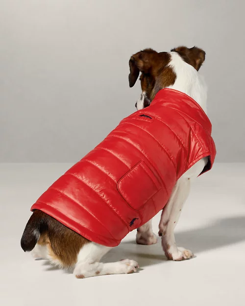 lauren ralph lauren Chaqueta acolchada para perro | Ralph Lauren® ES Última moda