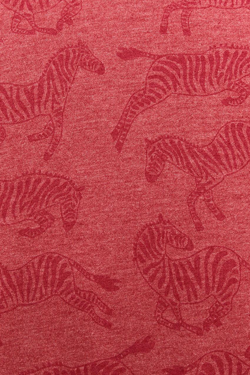 tiwel Camiseta Zebra Último día
