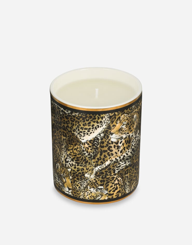 Dolce & Gabbana Vela perfumada de porcelana - Pachuli Rebajas de fábrica