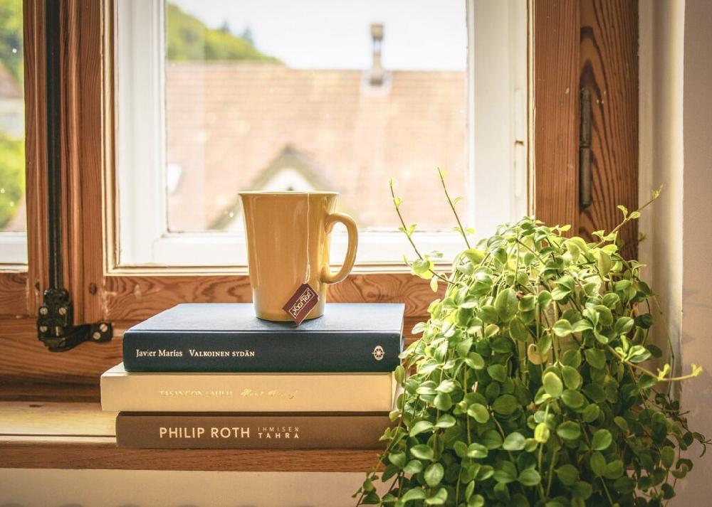 Mimub Ideas de decoración con plantas para el salón Venta caliente