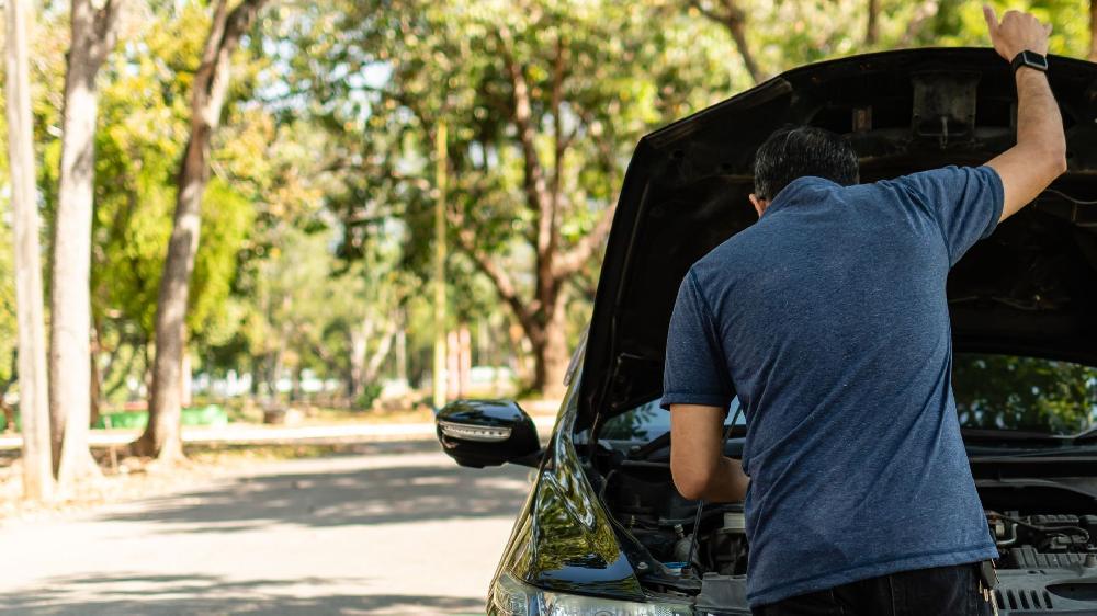 Mimub El 85% de los Asegurados Explora Opciones de Movilidad Fuera del Coche de Sustitución Según ICEA