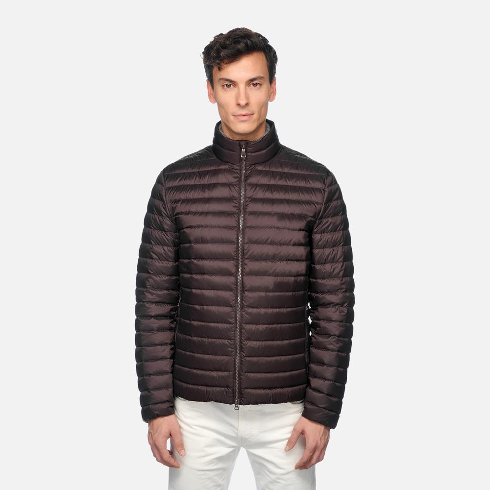Geox warrens hombre M4625DT3146F6227 Plumífero corto Rebajas de fin de temporada