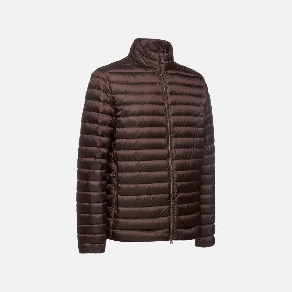 Geox warrens hombre M4625DT3146F6227 Plumífero corto Rebajas de fin de temporada